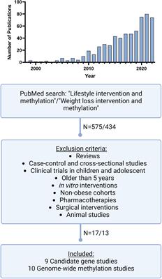 Implication of DNA methylation during lifestyle mediated weight loss